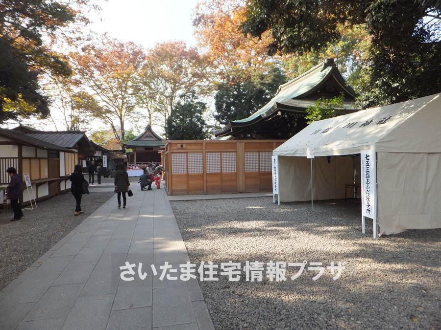 Other. Hikawa Shrine 