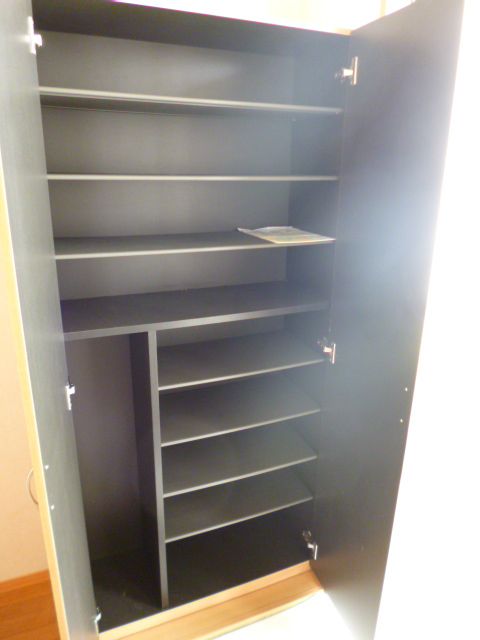 Entrance. To clean and the entrance with lots shoes enters shoebox.