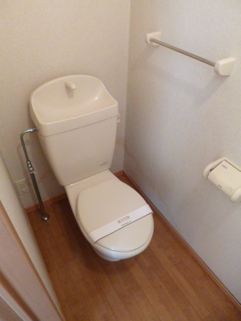 Toilet. Is a beautiful toilet in which the white tones.