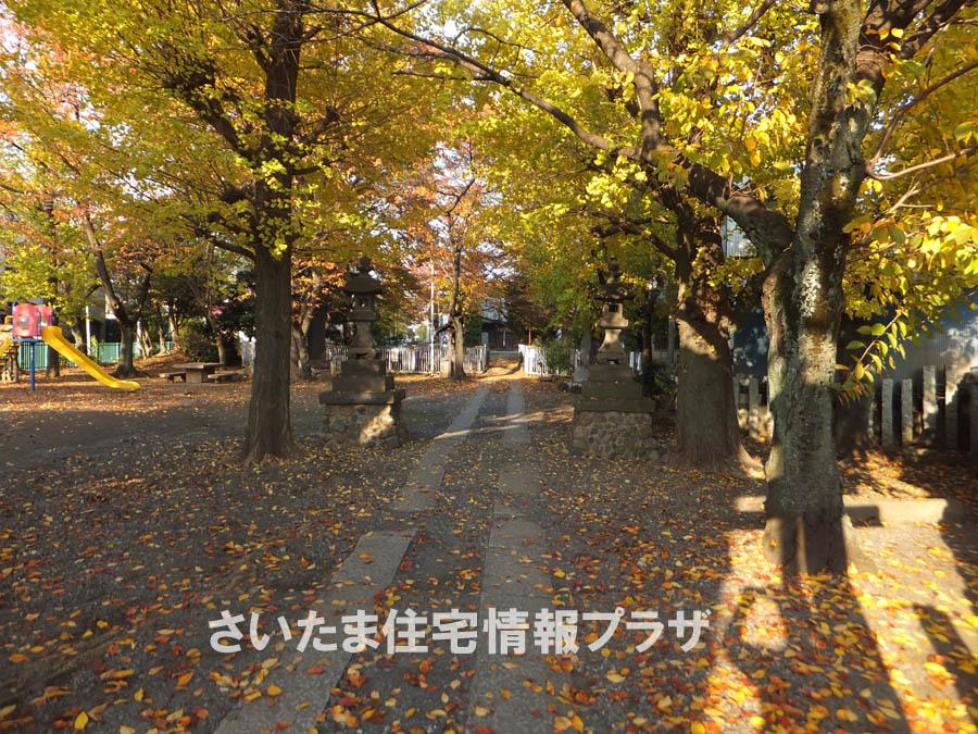 Other. Floating island park