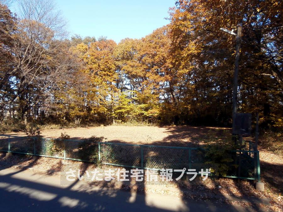 Other. Now Fukuhara amusement park