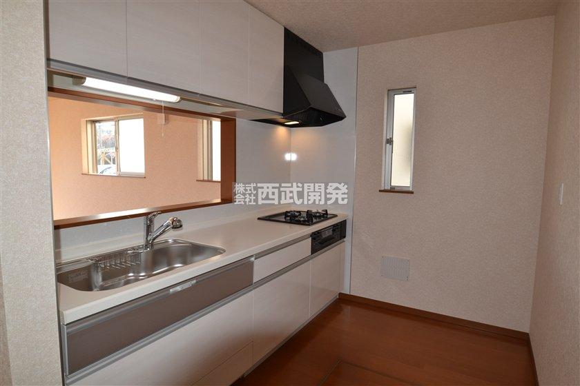 Kitchen. Indoor (11 May 2013) Shooting