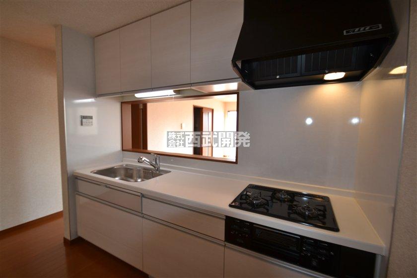 Kitchen. Indoor (11 May 2013) Shooting