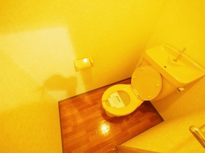 Toilet. Same type of room image