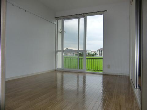 Living and room. Western style room