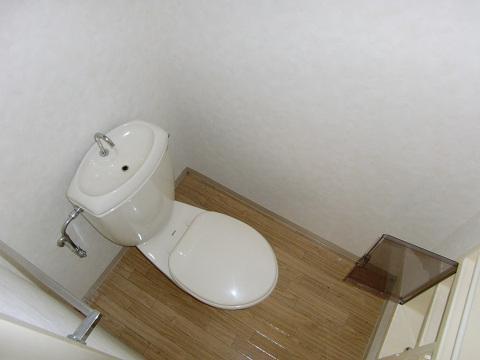 Toilet. Toilet