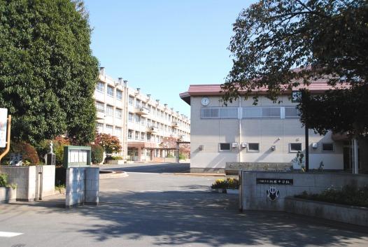 Other. About in Hatsukari 500m