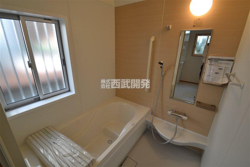 Bathroom. Indoor (10 May 2013) Shooting