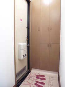 Entrance. There is a shoe zone box in the foyer