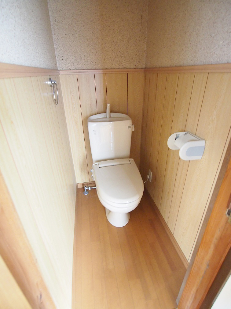 Toilet. Heating toilet seat with toilet