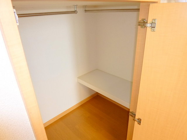 Receipt. Walk-in closet (with lighting)