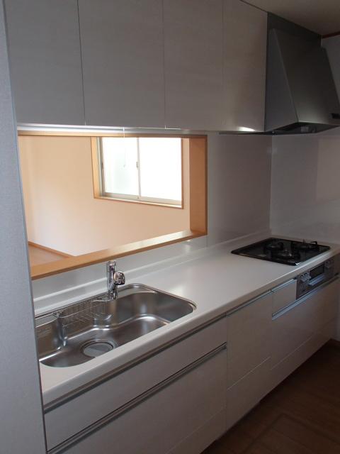 Kitchen. Local (11 May 2013) Shooting