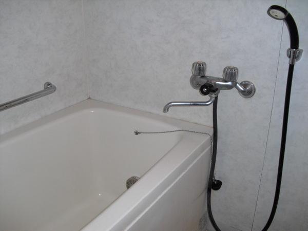 Bath. Bus of the room