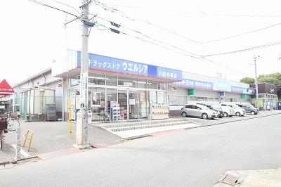 Dorakkusutoa. Uerushia Kawagoe Matoba shop 416m until (drugstore)