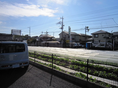 Other. (Other) up to 10m