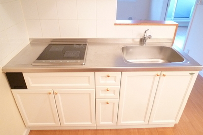 Kitchen.  ※ 202, Room photo diversion / Current Status confirmation necessity