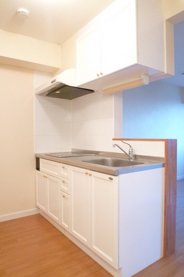 Kitchen.  ※ 202, Room photo diversion / Current Status confirmation necessity