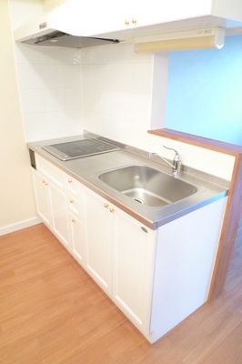 Kitchen.  ※ 202, Room photo diversion / Current Status confirmation necessity