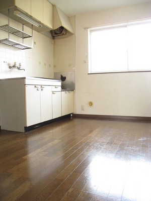 Kitchen. There is window in DK! It is nice to be ventilated