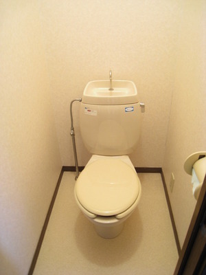 Toilet. Outlet in the toilet there bidet can be installed