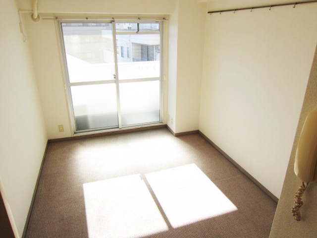 Living and room. South-facing bright room