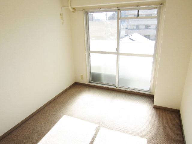 Living and room. Bright carpet-covered Western-style