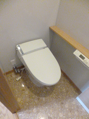 Toilet