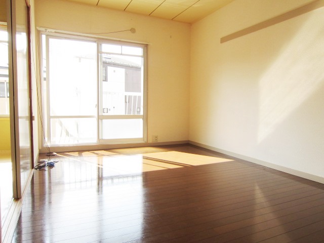 Living and room. South-facing bright room