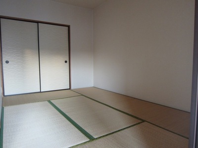 Living and room. Storage with Japanese-style