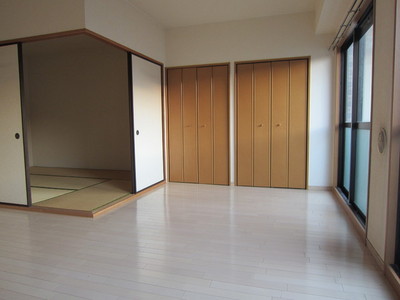 Living and room. Closet in the back of the living room