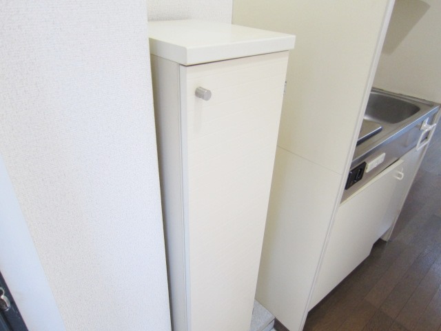 Entrance. It comes with shoes BOX.