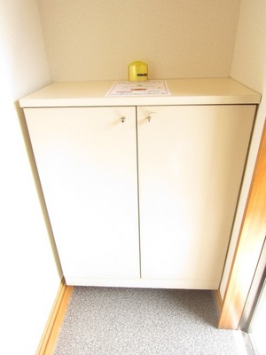 Entrance. There entrance shoes BOX