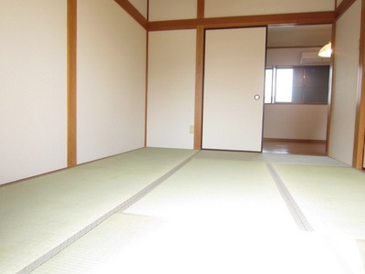 Living and room. Japanese style room