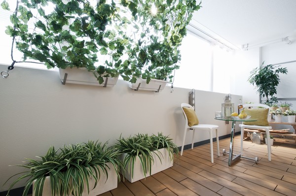 Balcony which adopted the eco facilities such as green curtain hook