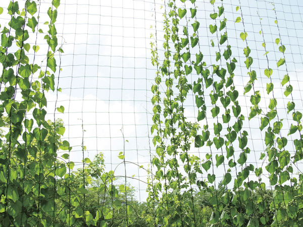 Other. (Shared facilities ・ Common utility ・ Pet facility ・ Variety of services ・ Security ・ Earthquake countermeasures ・ Disaster-prevention measures ・ Building structure ・ Such as the characteristics of the building)