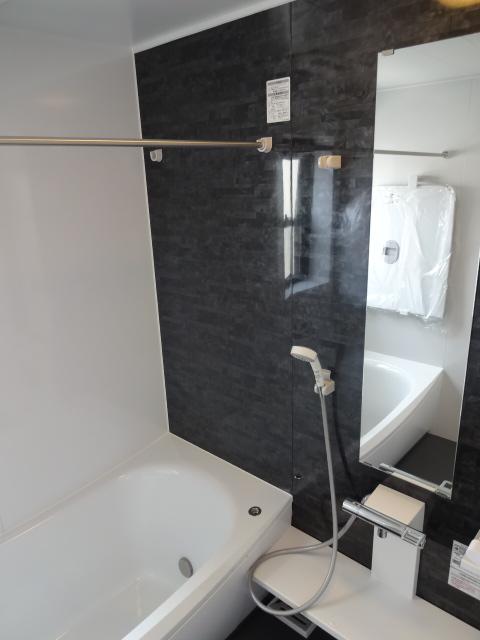 Bathroom. Indoor (July 2013) Shooting