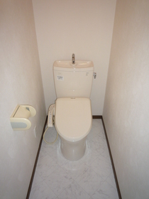 Toilet. Bidet I put