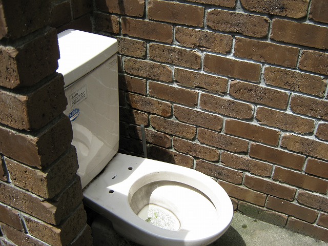 Other common areas. Pet toilet