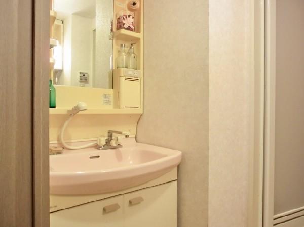 Wash basin, toilet