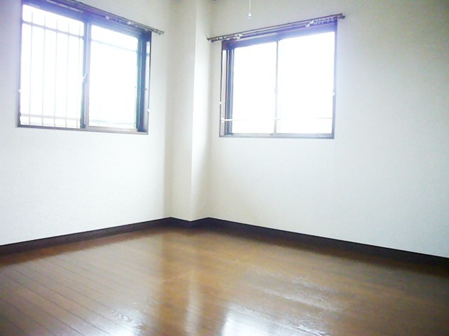 Living and room. Two-sided lighting of the bright rooms.