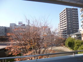 View. Tall buildings do not have to block the day