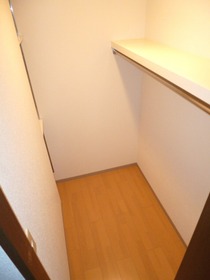 Living and room. Walk-in closet with