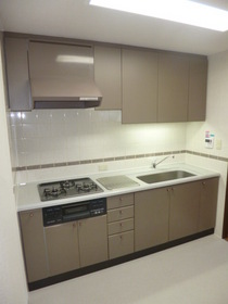 Kitchen. Larger system Kitchen