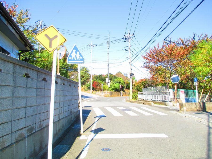 Local photos, including front road. Local (2 0138 November) shooting