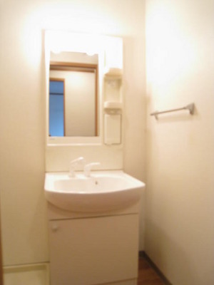 Washroom. Shampoo dresser with