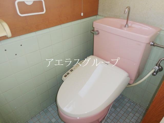 Toilet. Hot to space
