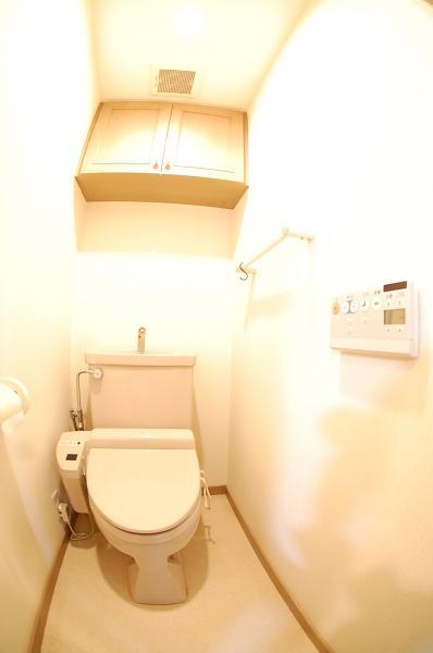 Toilet. Toilet with shower