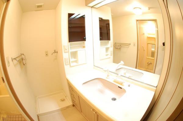 Wash basin, toilet. Wash basin with a shower of big success in the morning of the dressing