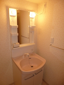 Washroom. Shampoo - dresser - is