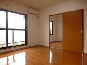 Living and room. Bright living